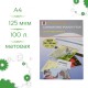 Пленка для ламинирования матовая А4 125 мкм 100шт